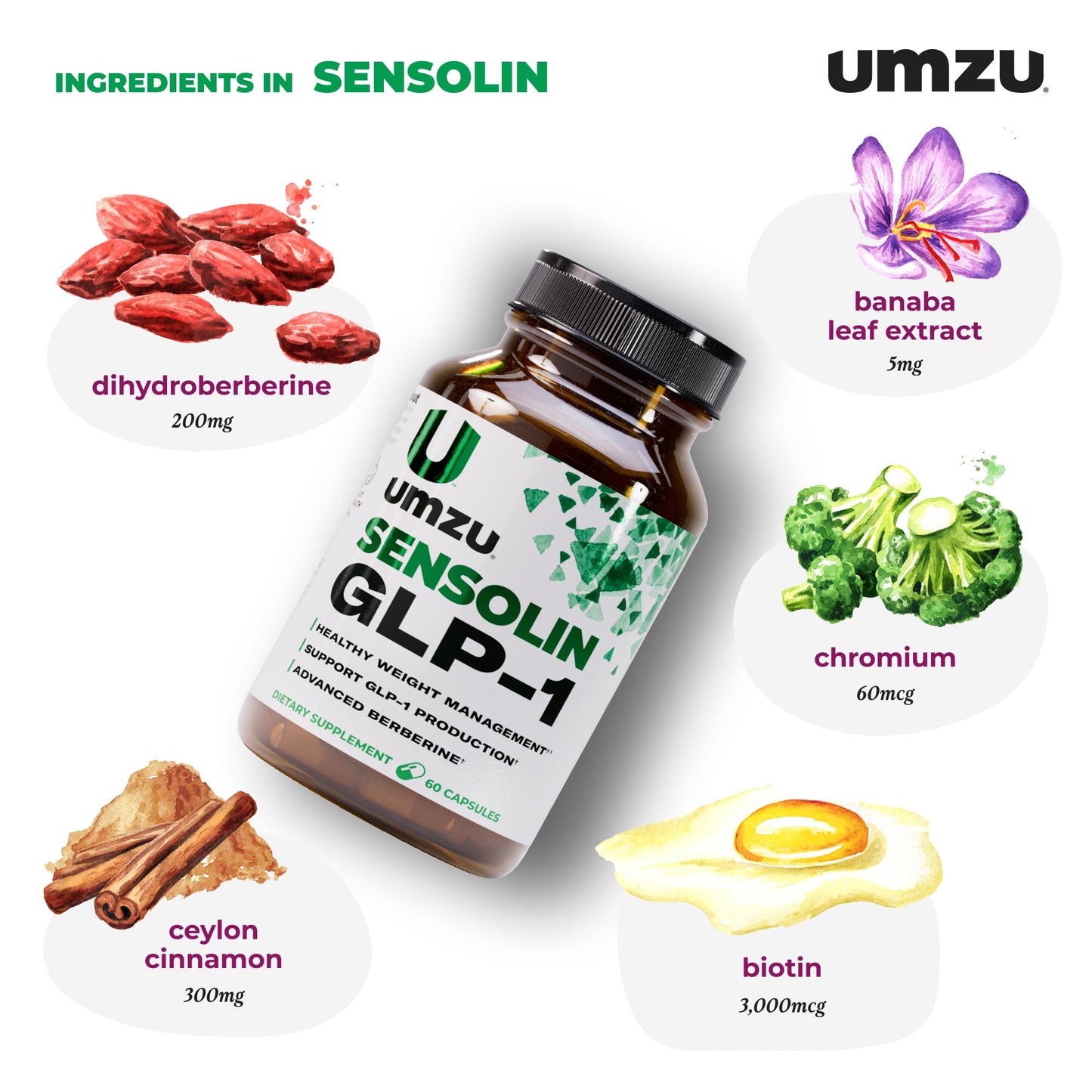 UMZU Sensolin GLP-1 Support Supplement – 30 Day Supply with Dihydroberberine, Cinnamon, Chromium & Biotin