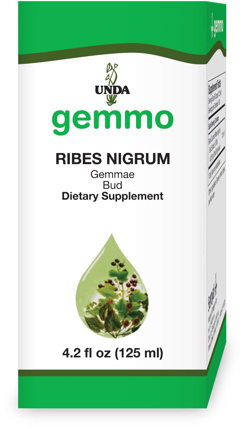 UNDA Gemmo Therapy Ribes Nigrum – Black Currant Bud Extract (4.2 fl oz)