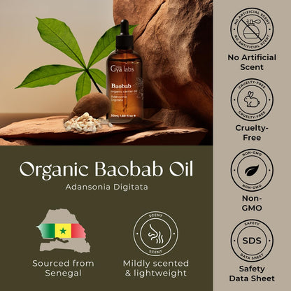 Gya Labs Baobab Carrier Oil – 1.7 Fl Oz for Hair, Skin, Face, Scalp & Body