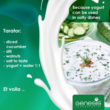 Bulgarian Yogurt Starter Culture – Probiotic Lactobacillus bulgaricus, 10 Sachets (Up to 50 L)