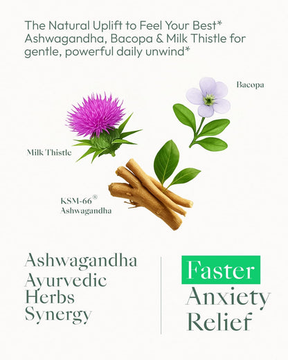 Upbe Ashwagandha for Women & Men – KSM-66®, Bacopa & Milk Thistle, 60 Vegan Capsules
