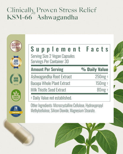 Upbe Ashwagandha for Women & Men – KSM-66®, Bacopa & Milk Thistle, 60 Vegan Capsules