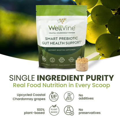 WellVine Premium Smart Prebiotic Gut Health Supplement Powder for Men & Women | Digestive Support & Gut Health With 100% Upcycled Chardonnay Grapes | Plant-Based, Gluten and Allergen-Free | 4.75Oz