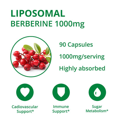 UpNourish Liposomal Berberine 1000mg – Cinnamon, Chromium, Curcuminoids & More | 90 Vegan Capsules