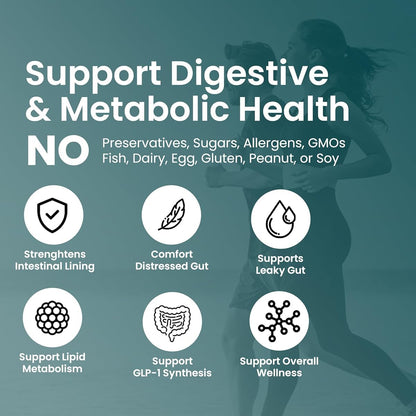 UpNourish Probiotics for GLP-1 Support – 5B TFU Akkermansia muciniphila, Digestive Health, Leaky Gut & Metabolic Wellness, 60 Capsules