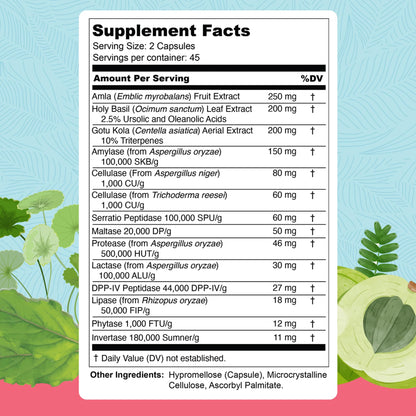 UpWellness Total Revive+ Digestive Enzymes | Broad-Spectrum Digestive Health | 90 Capsules