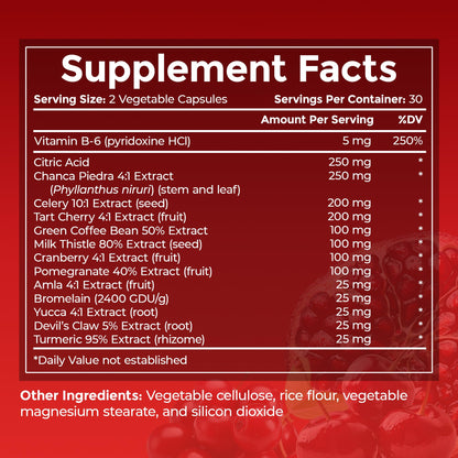 URIC GO Uric Acid Cleanse – Uric Acid Support Supplement | 60 Vegan Capsules