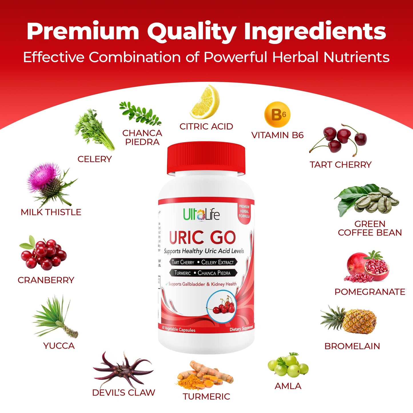 URIC GO Uric Acid Cleanse – Uric Acid Support Supplement | 60 Vegan Capsules