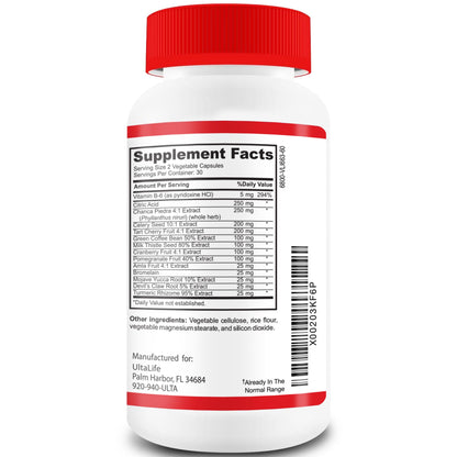 URIC GO Uric Acid Cleanse – Uric Acid Support Supplement | 60 Vegan Capsules