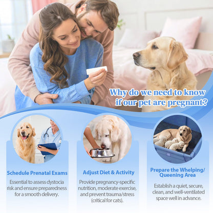 at-Home Dog & Cat Pregnancy Test Kit - 99% Accurate Urine Test for Rapid 5-Minute Results. Easy, Painless, and Reliable Home Testing Solution for Pet Owners