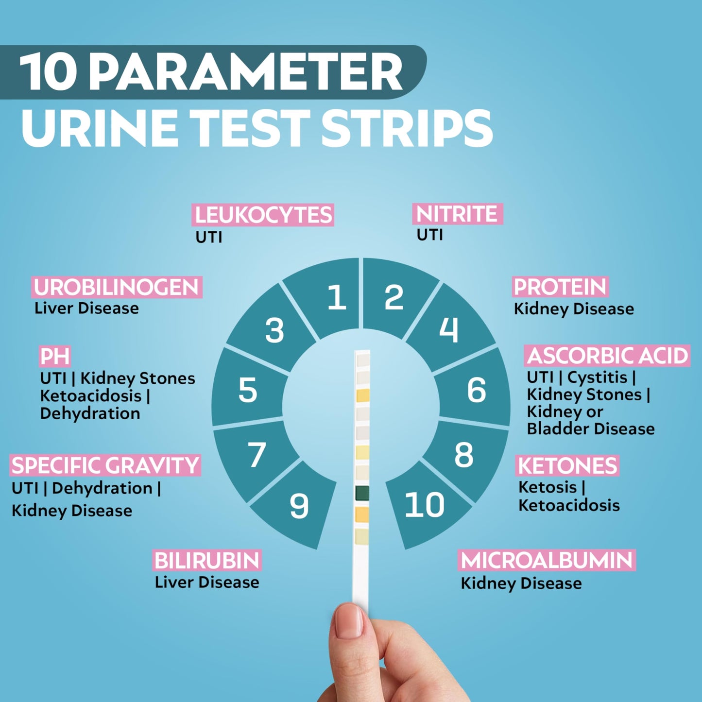 One Step 10A Urine Test Strips, 100 Strip Tub, 10 in 1 Parameters, Testing Strips for use by Men & Women, UTI Infection, Urinalysis pH, Nitrite, Leukocytes and More, Easy Read Results