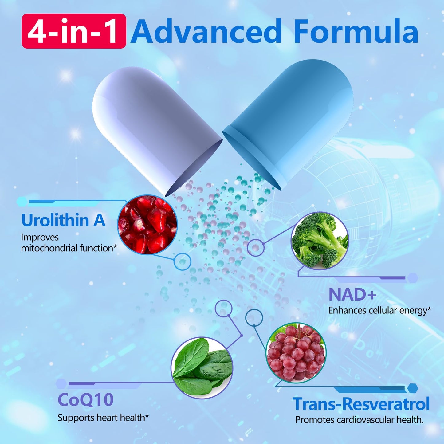 Urolithin A 1700mg with NAD+, CoQ10 & Trans-Resveratrol — 60 Softgels