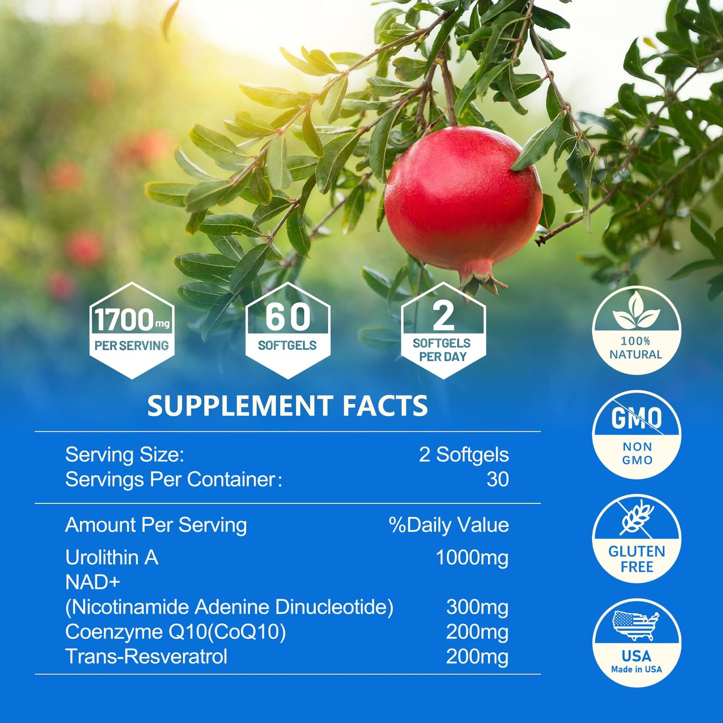 Urolithin A 1700mg with NAD+, CoQ10 & Trans-Resveratrol — 60 Softgels