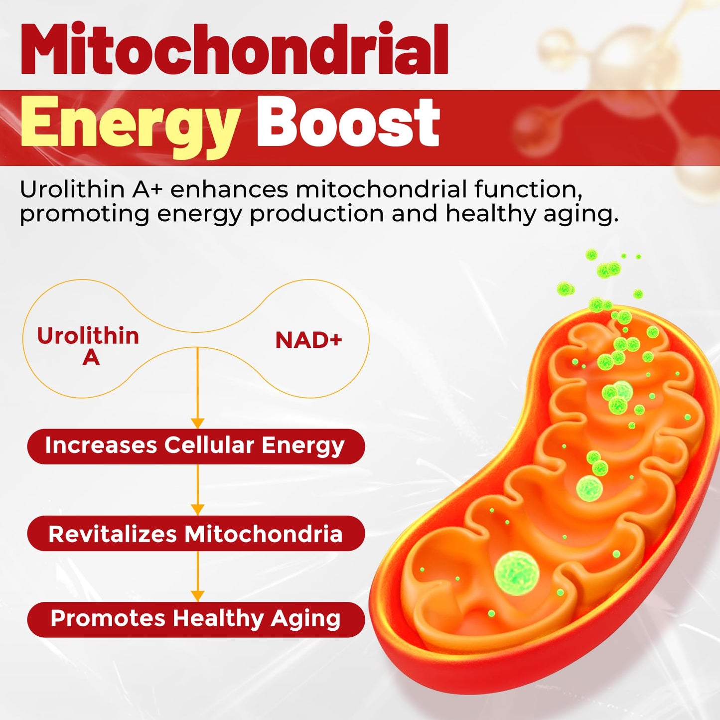 Urolithin A Gummies - 1000mg Liposomal, Longevity, Energy (Vegan)