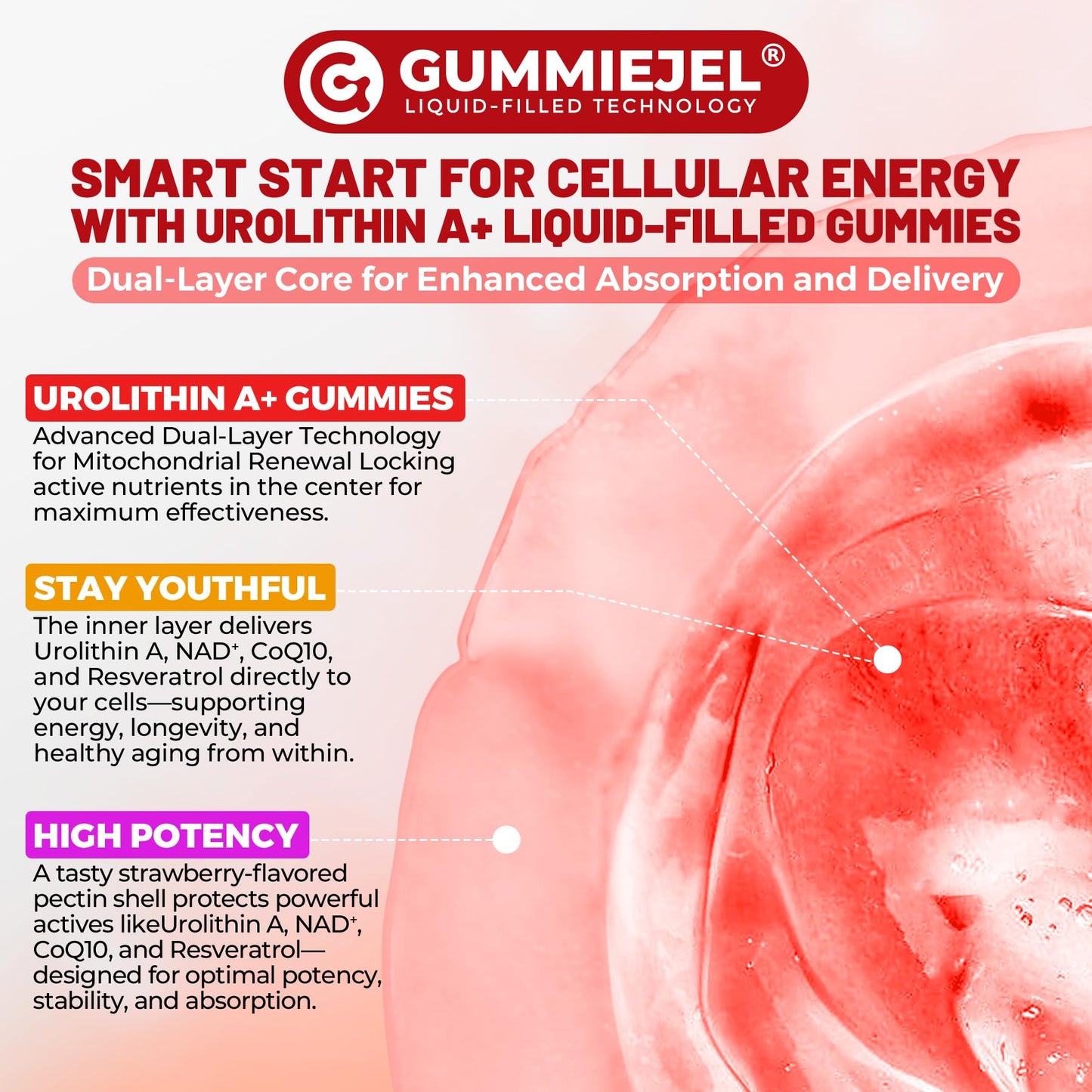 Urolithin A Gummies - 1000mg Liposomal, Longevity, Energy (Vegan)