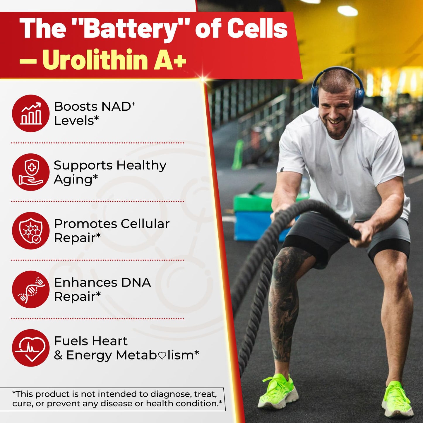 Urolithin A Gummies - 1000mg Liposomal, Longevity, Energy (Vegan)