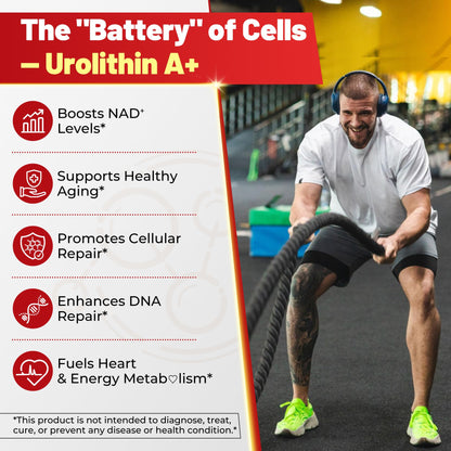 Urolithin A Gummies - 1000mg Liposomal, Longevity, Energy (Vegan)