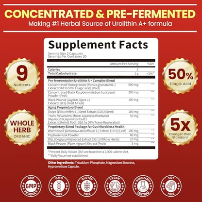 Triple-Strength Urolithin A+ Complex for Cellular Health, Function & Well-Being | Concentrated Pre-Fermented Urolithin A+ Plus Wormwood, Psyllium Husk & DGL for Gut Support–Plant Based, GMP, 60 Count