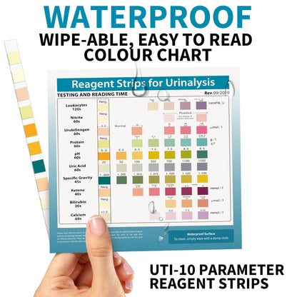 URS 10-in-1 Urine Test Strips – 10 Parameters for UTI, Ketosis, pH, Protein, 100 Count