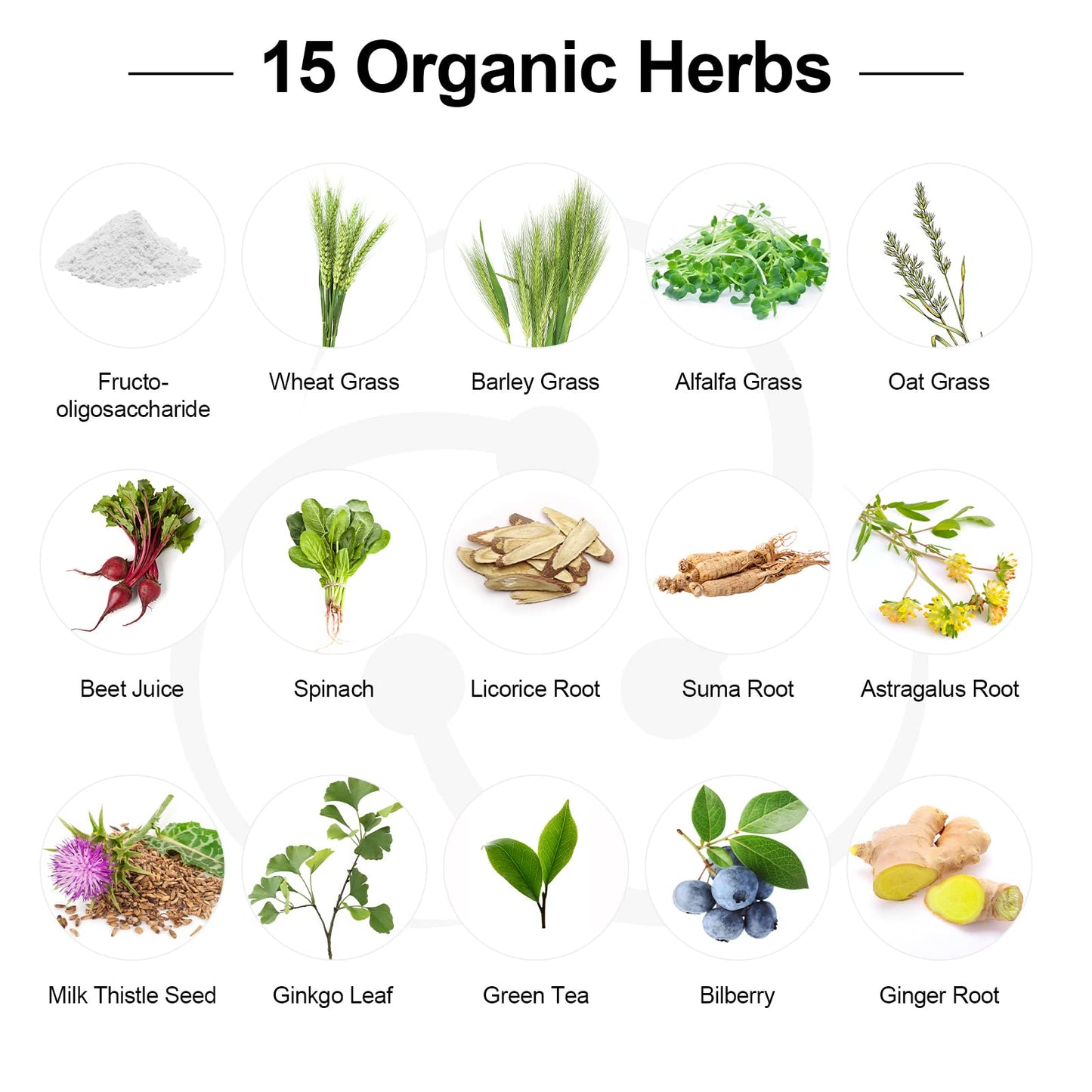 Probiotics for Women and Men – 300B CFU, 24 Strains + 15 Organic Herbs (2 Month Supply)