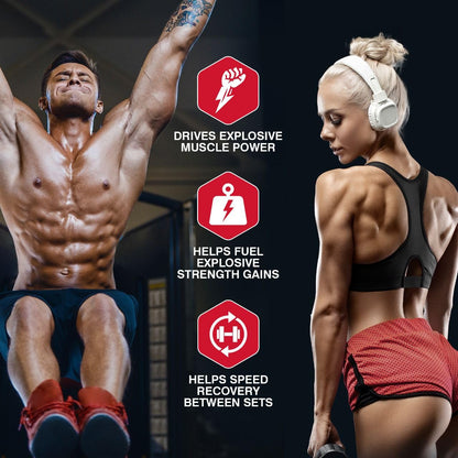 ProLab Nutrition Creatine Monohydrate Micronized Powder 1000g - Pure Creatine for Muscle Strength, Power & Endurance (Unflavored, 5g per serving, 200 servings)