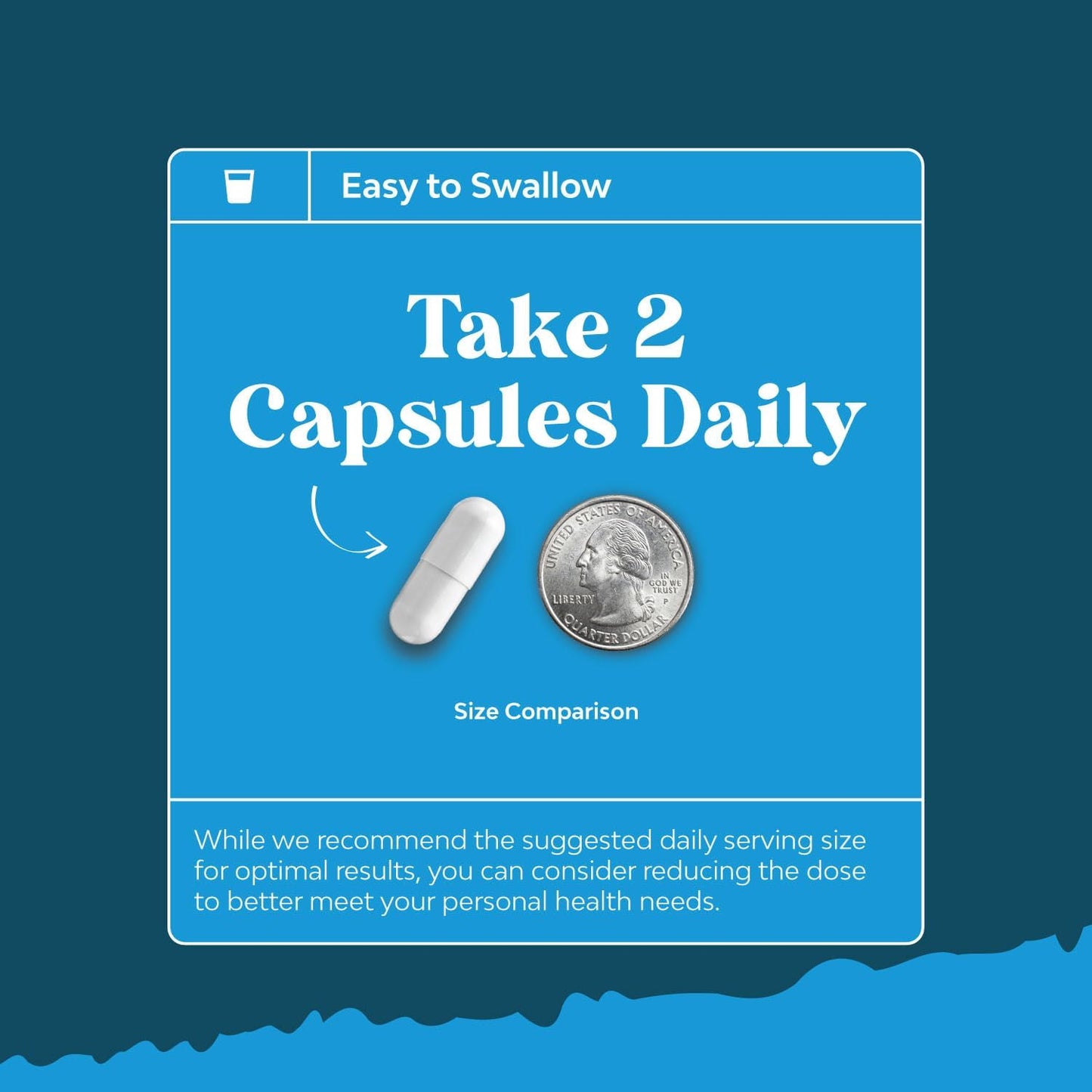 Alpha Lipoic Acid + Acetyl-L-Carnitine Supplement – Memory, Energy & Metabolism (60 Capsules)
