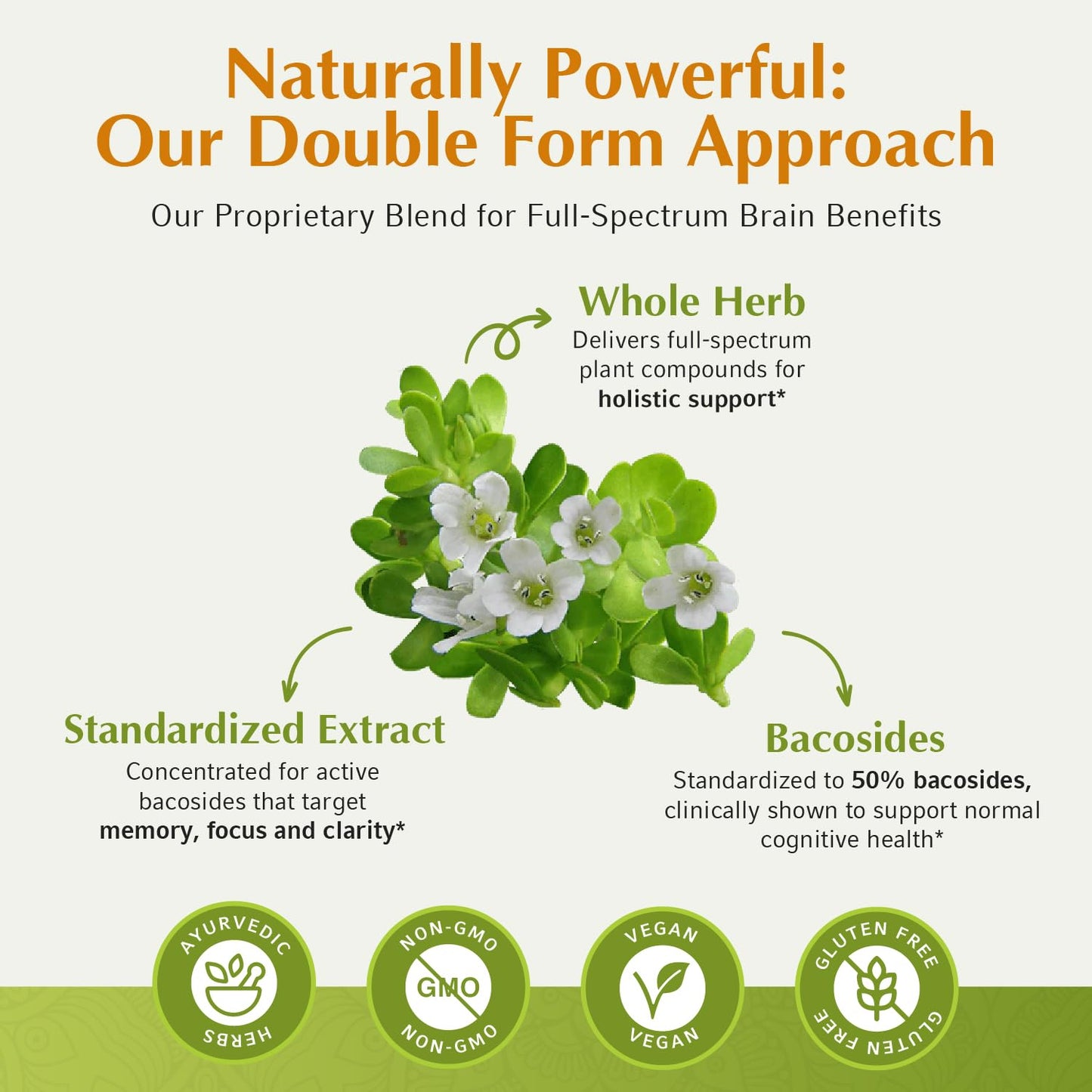 Jiva Botanicals Bacopa Monnieri 1000mg – Focus & Memory Support (60 Capsules)