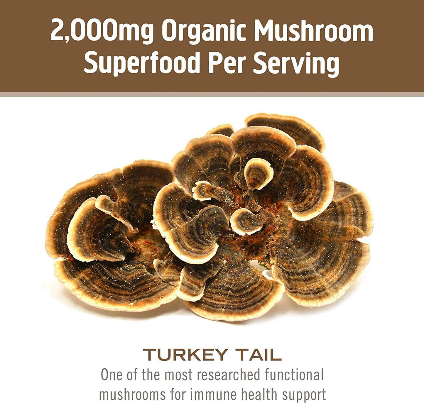 Turkey Tail Mushroom Capsules | Om Mushroom Superfood – Immune Support (90 Count)