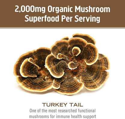 Turkey Tail Mushroom Capsules | Om Mushroom Superfood – Immune Support (90 Count)