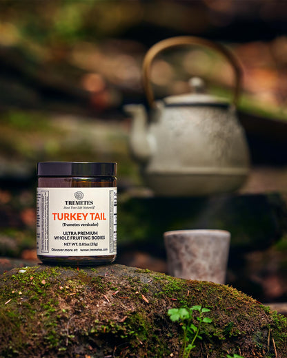 Turkey Tail Mushroom Fruiting Body – Lab-Verified 41.2% Beta-Glucans for Tea | Amber Glass Jar