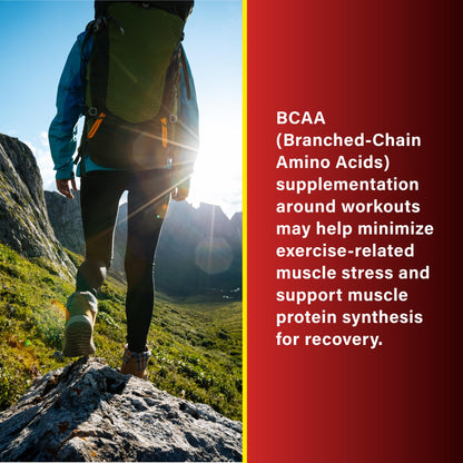 Multivitamin with Creatine & BCAA for Cardio & Recovery | Heart & Muscle Protect