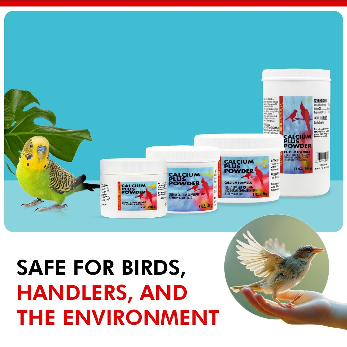 Morning Bird Calcium Plus Powder for Birds 1 oz – Calcium & Vitamin Supplement for Bone Health