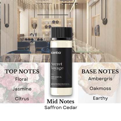 Perfume-Inspired Essential Oil Set – 3×20ml Diffuser Oils
