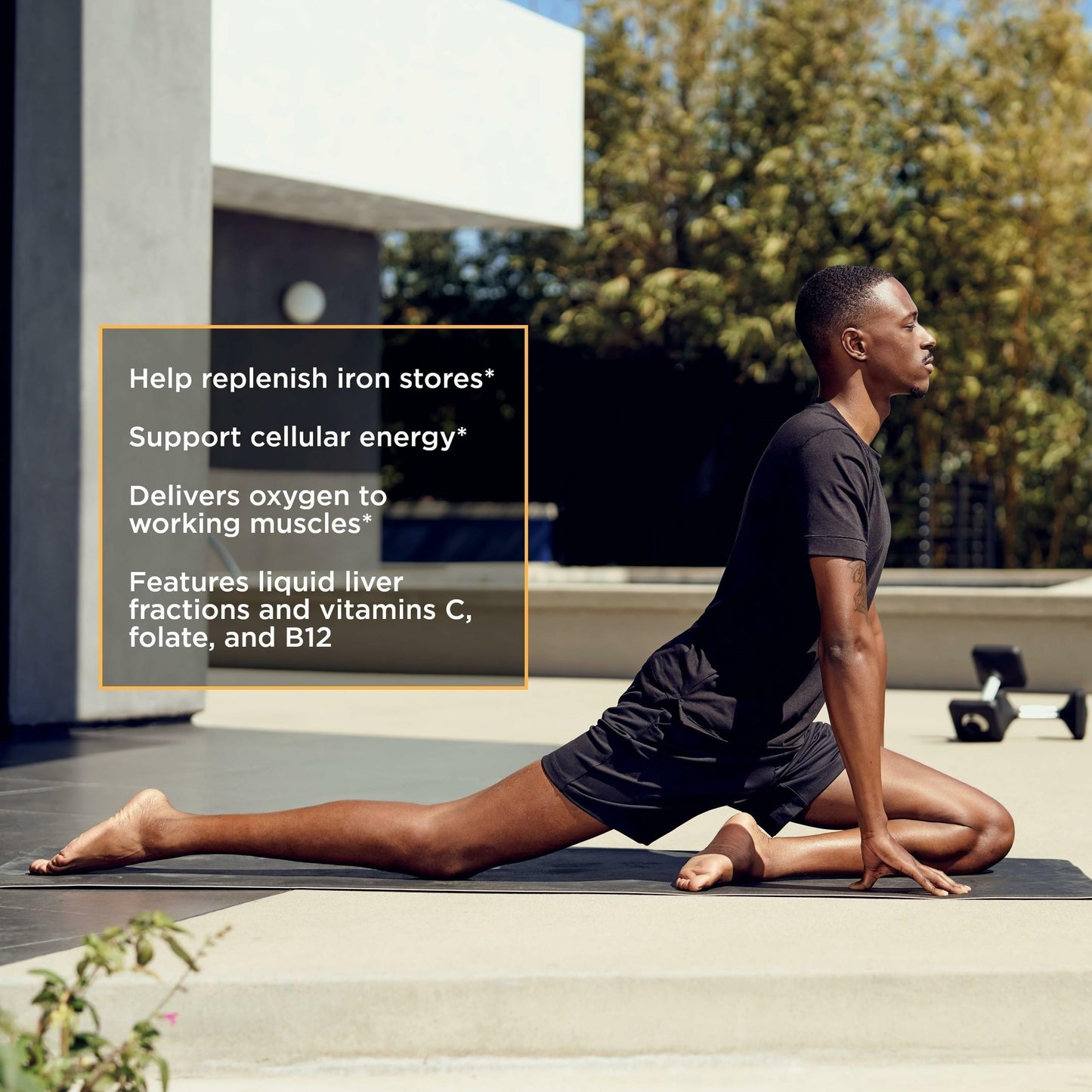 Integrative Therapeutics Iron Complex – Energy & Wellness Support (Gluten-Free & Dairy-Free)