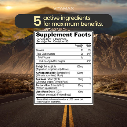Organic Shilajit Gummies with Sea Moss & Ashwagandha – Watermelon Flavor, 60ct – Vegan, Non-GMO, Made in USA