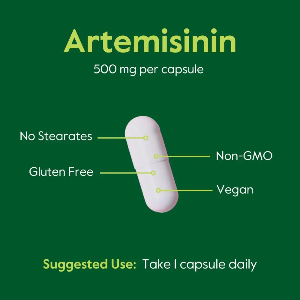 BESTVITE Artemisinin 500mg Capsule – 60 Vegetarian Capsules | No Fillers, Vegan, Gluten Free, Non-GMO BritishVita | Premium UK Vitamins & Wellness Supplements