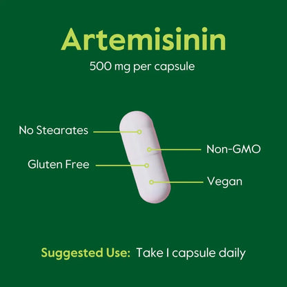 BESTVITE Artemisinin 500mg Capsule – 60 Vegetarian Capsules | No Fillers, Vegan, Gluten Free, Non-GMO BritishVita | Premium UK Vitamins & Wellness Supplements
