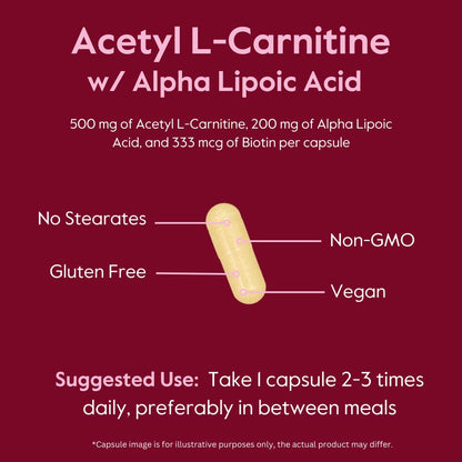 BESTVITE Acetyl L-Carnitine 500mg & Alpha Lipoic Acid 200mg per Capsule with Biotin (120 Vegetarian Capsules) - No Stearates - Vegan - Non GMO - Gluten Free