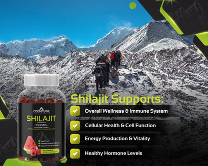 Shilajit Gummies 1000mg – Himalayan Shilajit with Fulvic Acid | Raspberry-Watermelon, Vegan, Sugar-Free