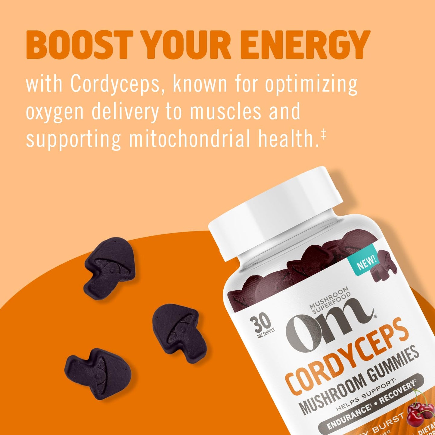OM Mushroom Cordyceps Gummies – USA Grown Organic Mushrooms | Energy & Endurance (60 Count)