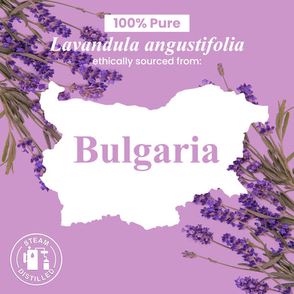 Handcraft Blends Lavender Angustifolia Essential Oil Gift Set – 4 fl oz – Pure & Natural – Gift Box Included