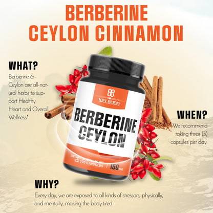 Berberine Supplement with Ceylon Cinnamon – Circulatory Health & Wellness (270 Capsules)