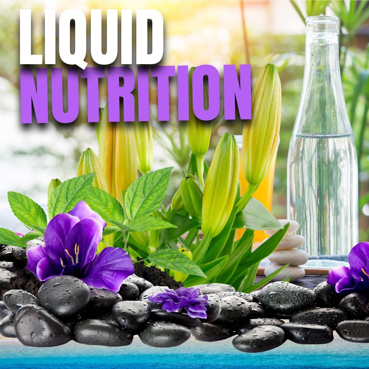 Omnitrition AM & PM Bundle: Omni IV Liquid Vitamin with Glucosamine + OmniTrim Nite Lite