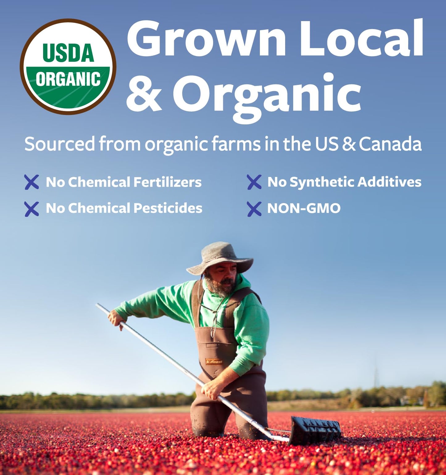 USDA Organic Cranberry Concentrate Powder (50:1) 500mg - 25,000mg Fresh Cranberries Equivalent | Kidney & Urinary Health | Women Supplement | 100 Servings