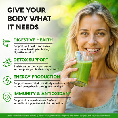 USDA Organic Graviola Soursop Bitters Liquid – Digestive Detox & Immune Support | 2 Fl Oz | Made in USA