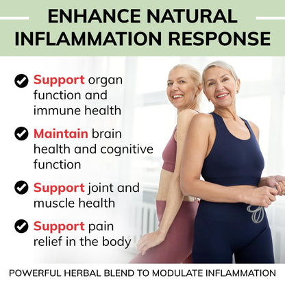 USDA Organic Inflammation Support – Turmeric Curcumin, Boswellia, Ginger Drops