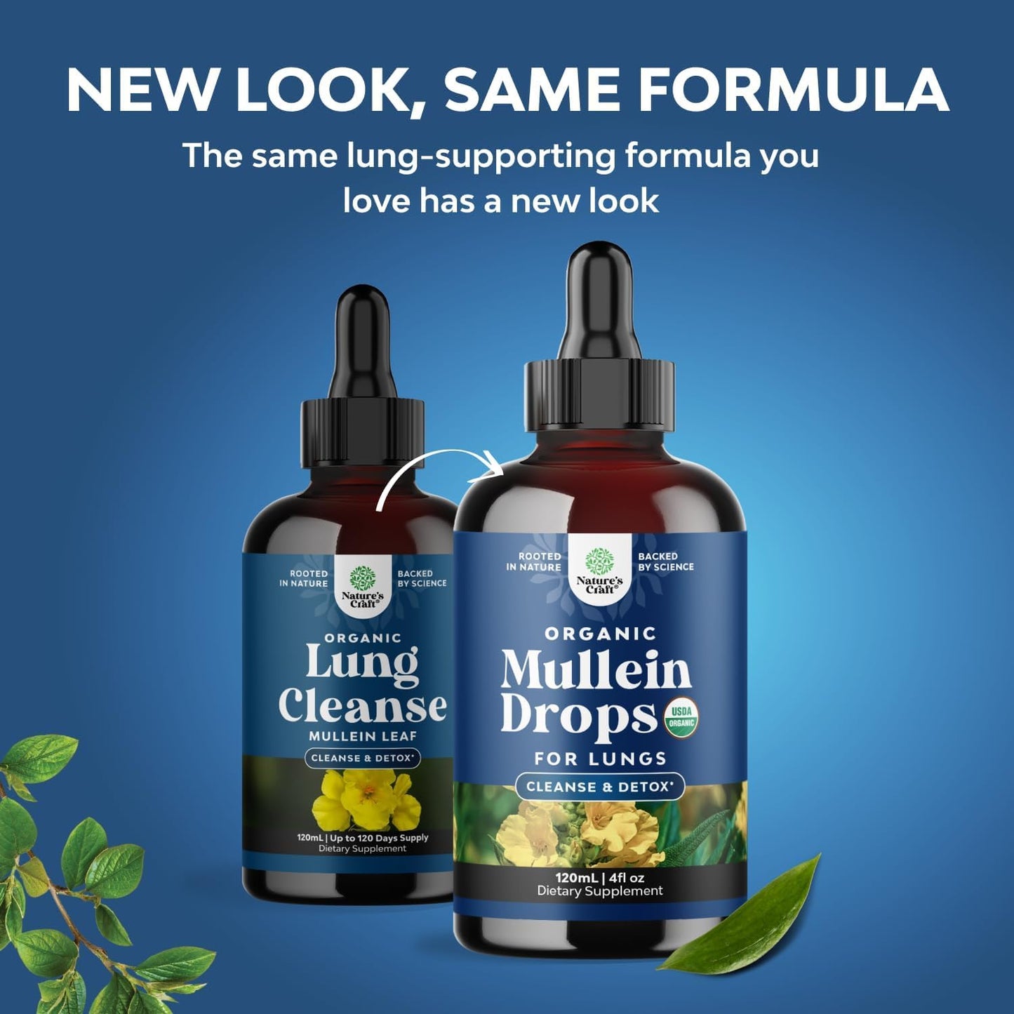 USDA Organic Mullein Drops for Lungs - Breathing Support & Lung Detox (120ml)