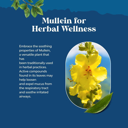 USDA Organic Mullein Drops for Lungs - Breathing Support & Lung Detox (120ml)