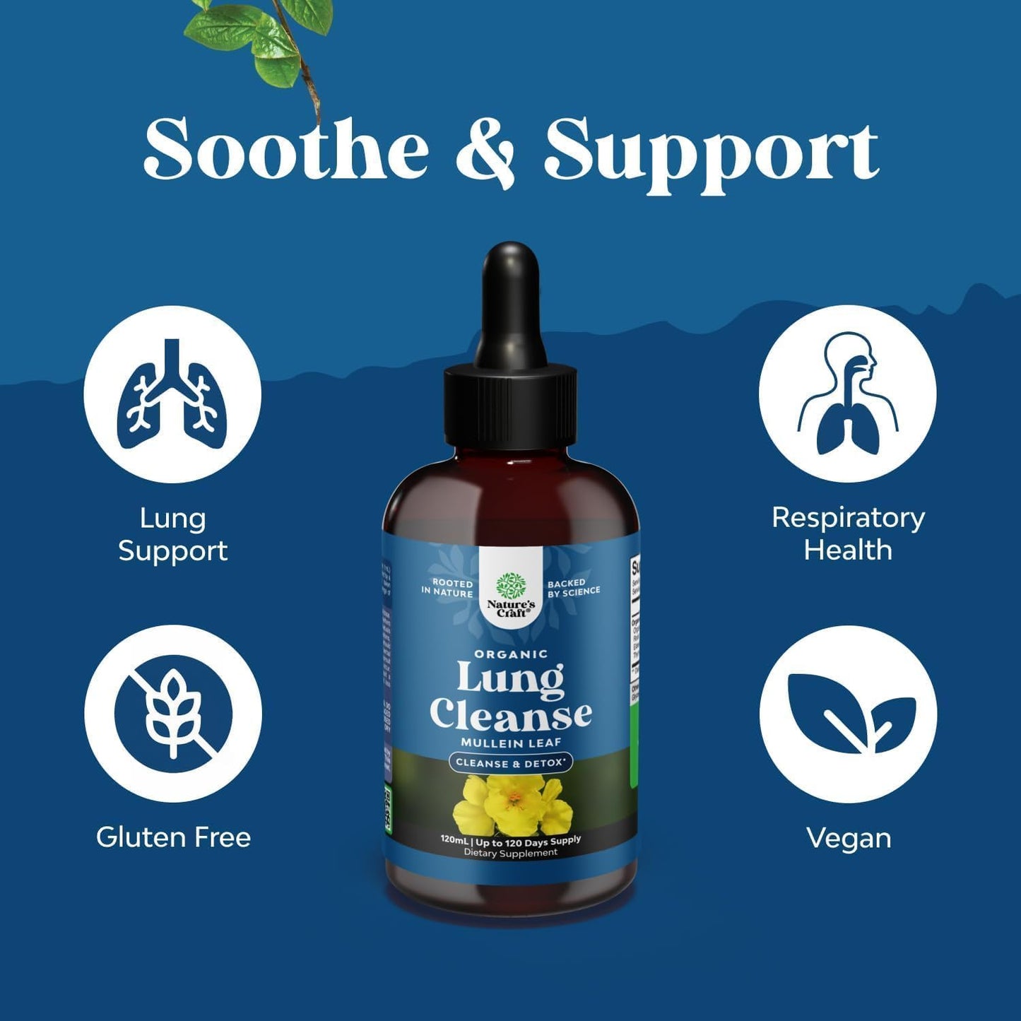 USDA Organic Mullein Drops for Lungs - Breathing Support & Lung Detox (120ml)