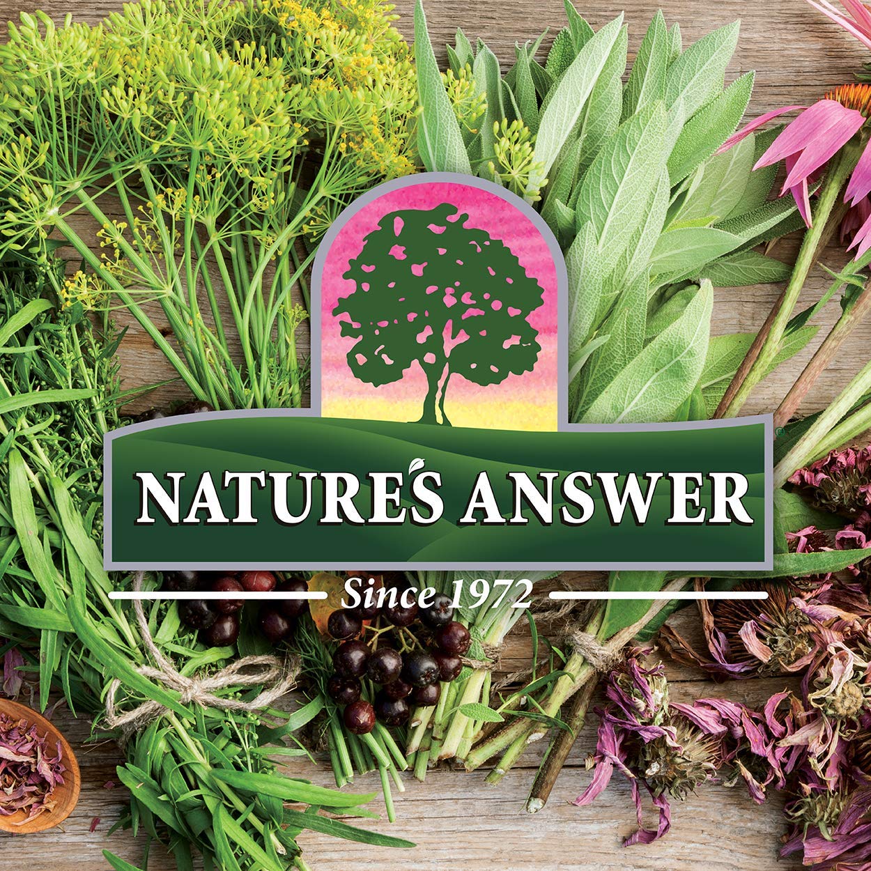Nature's Answer UT Answer with D-Mannose 1955mg - 90-Count | Urinary Tract & Bladder Support
